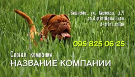 Шаблон візитівки