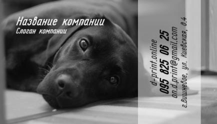Шаблон визитки