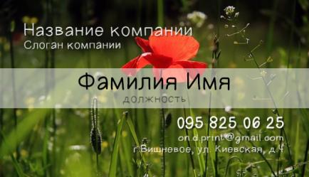 Шаблон візитівки