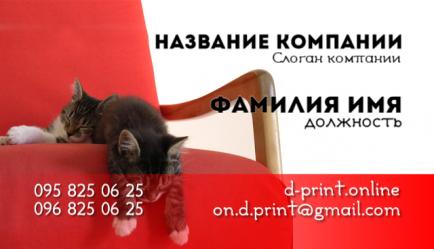 Шаблон визитки