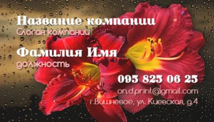 Шаблон визитки