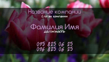 Шаблон візитівки