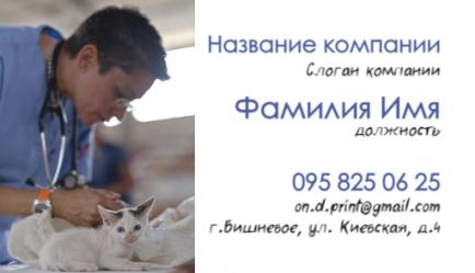 Шаблон візитівки