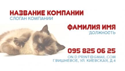 Шаблон визитки