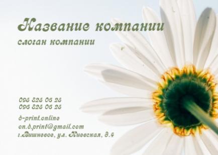 Макет кишенькового календаря