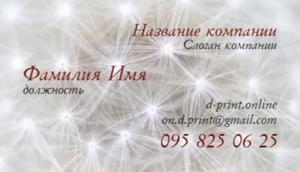 Шаблон візитівки
