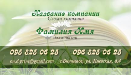 Шаблон візитівки