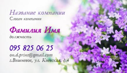 Шаблон візитівки