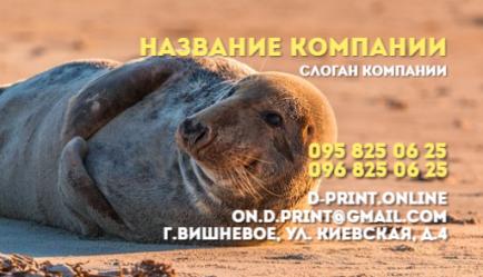 Шаблон візитівки
