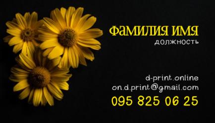 Шаблон візитівки