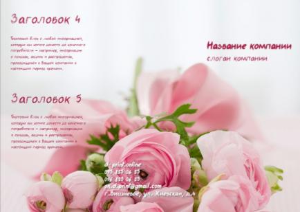 Макет євробуклета