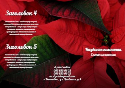 Макет євробуклета