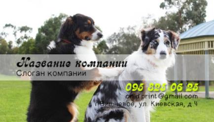 Шаблон візитівки