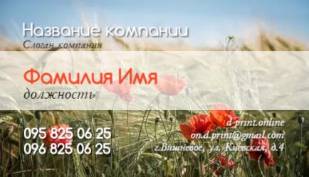 Шаблон візитівки