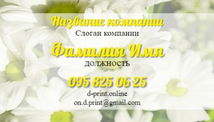 Шаблон визитки