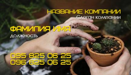 Шаблон визитки