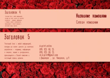 Макет євробуклета