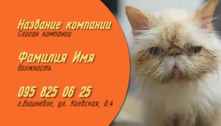 Шаблон визитки