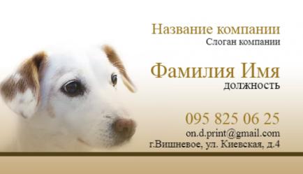 Шаблон візитівки