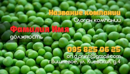 Шаблон візитівки