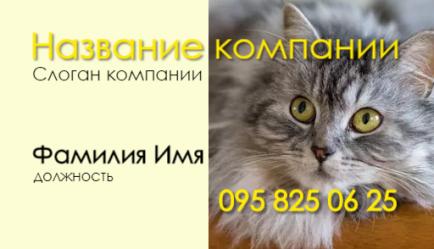 Шаблон визитки