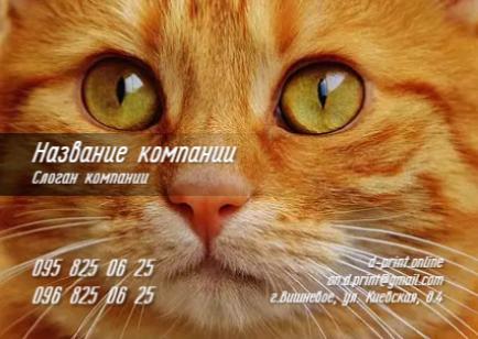 Макет кишенькового календаря