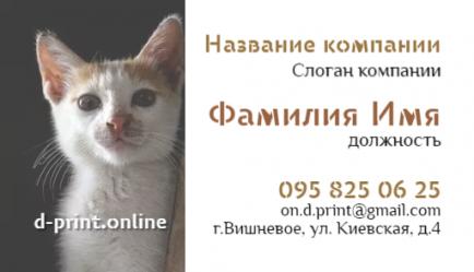 Шаблон визитки