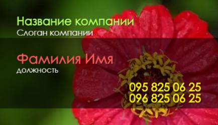 Шаблон візитівки
