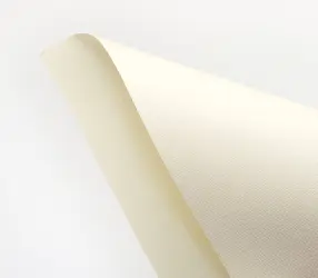 Дизайнерський картон dali bianco